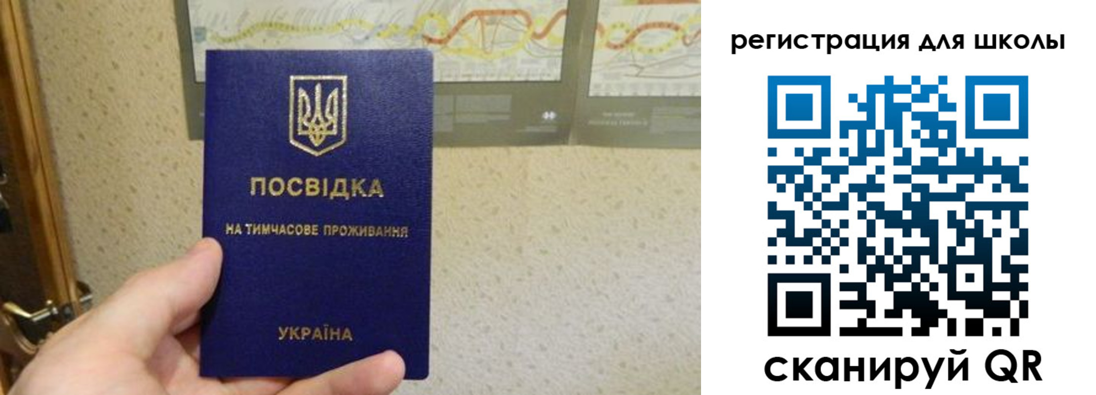 временная прописка в Могочи